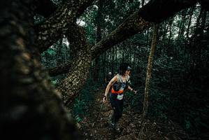 BIB: 
                            <button type="button" onclick="openModal(25683258)" class="btn btn-primary btn-sm float-right btn-popup" data-toggle="modal" data-target=".modal-high-quality">
                        <i class="fas fa-shopping-cart"></i> Add to Cart
                    </button>
                                            <button type="button" onclick="isThisMe(25683258, true)" class="btn btn-success btn-sm float-right btn-popup btn-isme hidden" data-toggle="tooltip" data-placement="bottom" title="นี่คือรูปของคุณใช่ไหม คลิกที่นี่เพื่อเอาเข้าอัลบั้ม">
                        <i class="fas fa-plus"></i> Add to album
                    </button>
                    <button type="button" onclick="isThisMe(25683258, false)" class="btn btn-warning btn-sm float-right btn-popup btn-isnotme hidden">
                        <i class="fas fa-ban"></i> Remove from album
                    </button>